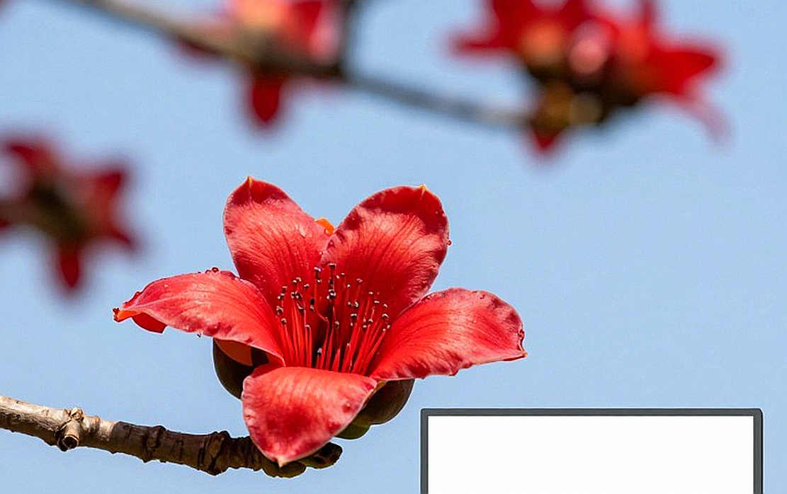 Dữ liệu trống rỗng và cái bẫy phân tích: Khi thể thao số hóa tự đánh lừa chính mình