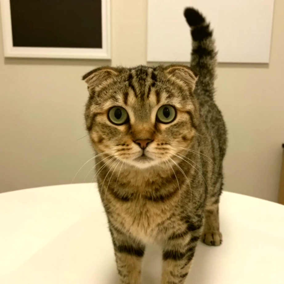 Kỳ chuyển nhượng V.League: Điều khoản bị chôn và cuộc chơi tiền lương của các đội nhỏ