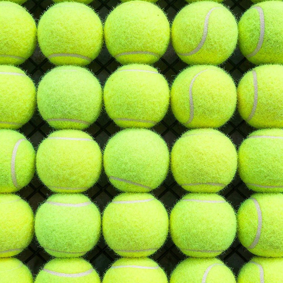 Sabalenka đối đầu Rybakina: Trận chung kết US Open quyết định ngôi số 1 thế giới Sabalenka đối đầu Rybakina: Trận chung kết US Open quyết định ngôi số 1 thế giới